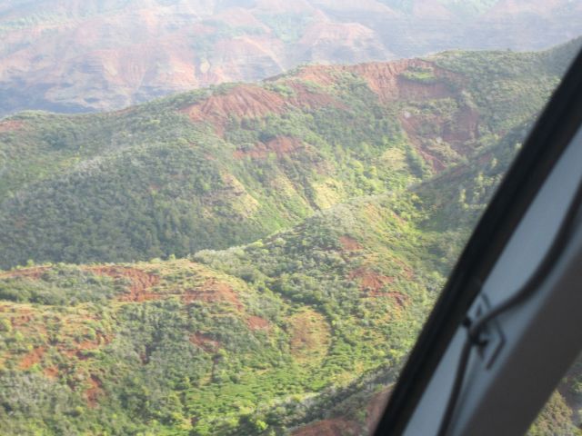 IMG 0355 copy